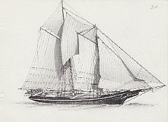 202 Schooner americano